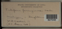 Image Associated With the Occurence